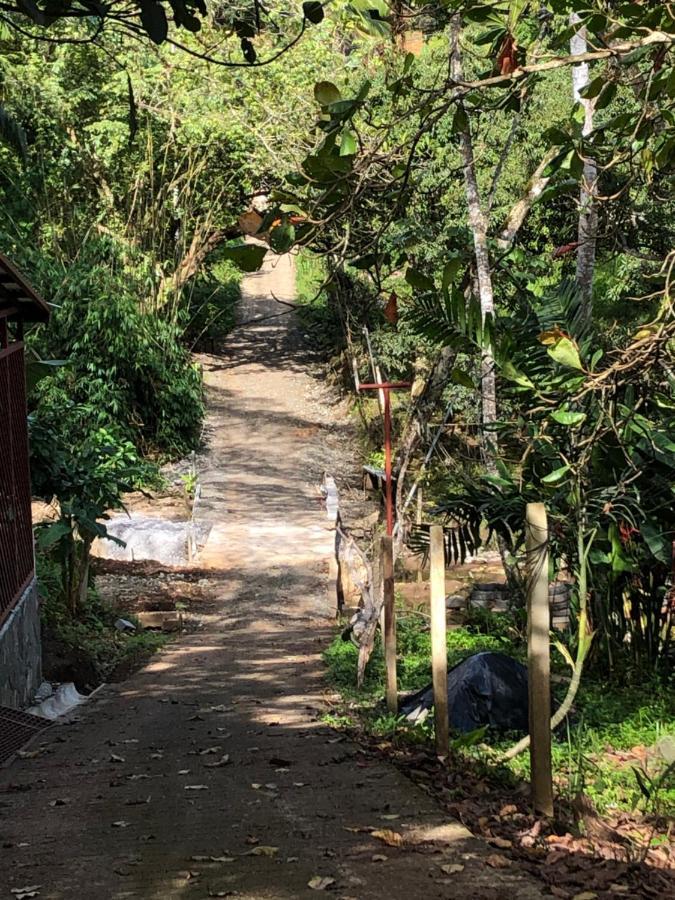 Casa Encantada Offers You Two-Bedroom House, 1 Tiny Apartment & 3 Double Rooms Manuel Antonio Exteriör bild