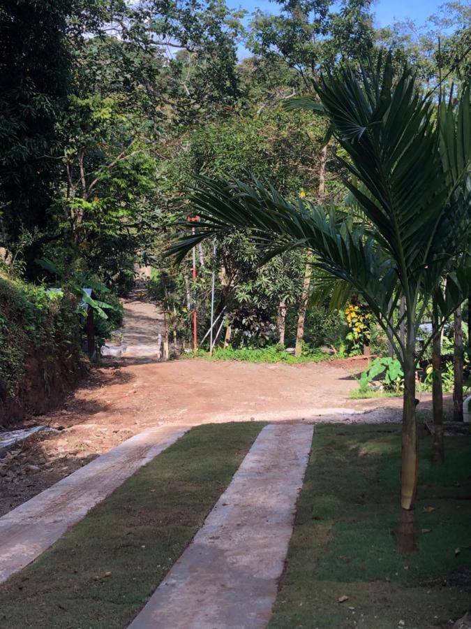Casa Encantada Offers You Two-Bedroom House, 1 Tiny Apartment & 3 Double Rooms Manuel Antonio Exteriör bild